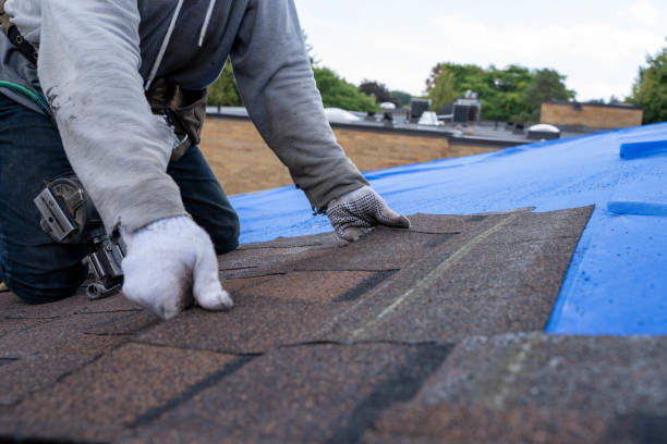 Best Metal Roofing Contractor  in Hughesville, MD